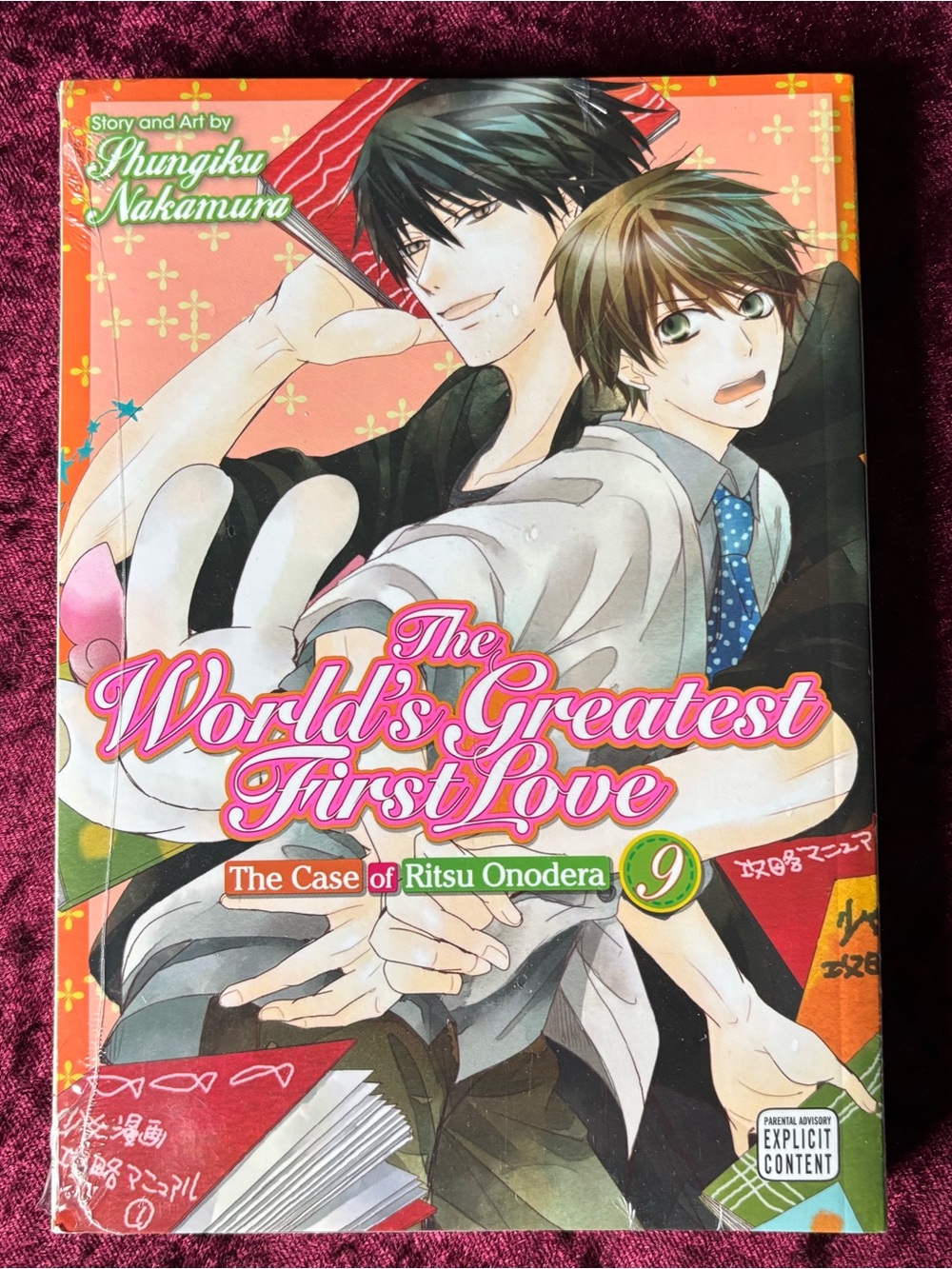 The World's Greatest First Love Vol. 9 Manga